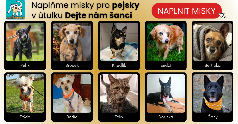 dejte nam sanci button